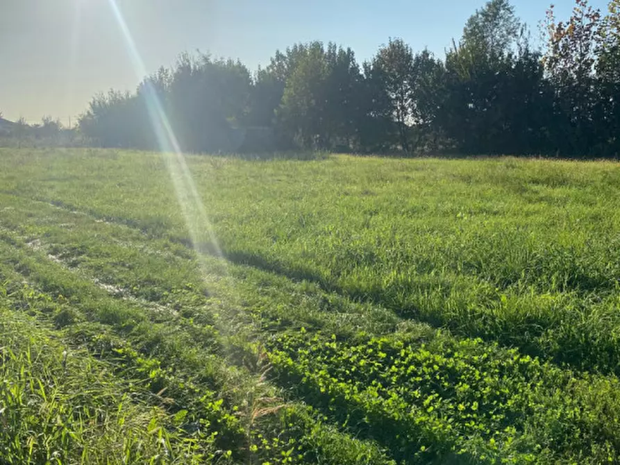Immagine 5 di Terreno in vendita  in Via S. Tommaso a Piove Di Sacco