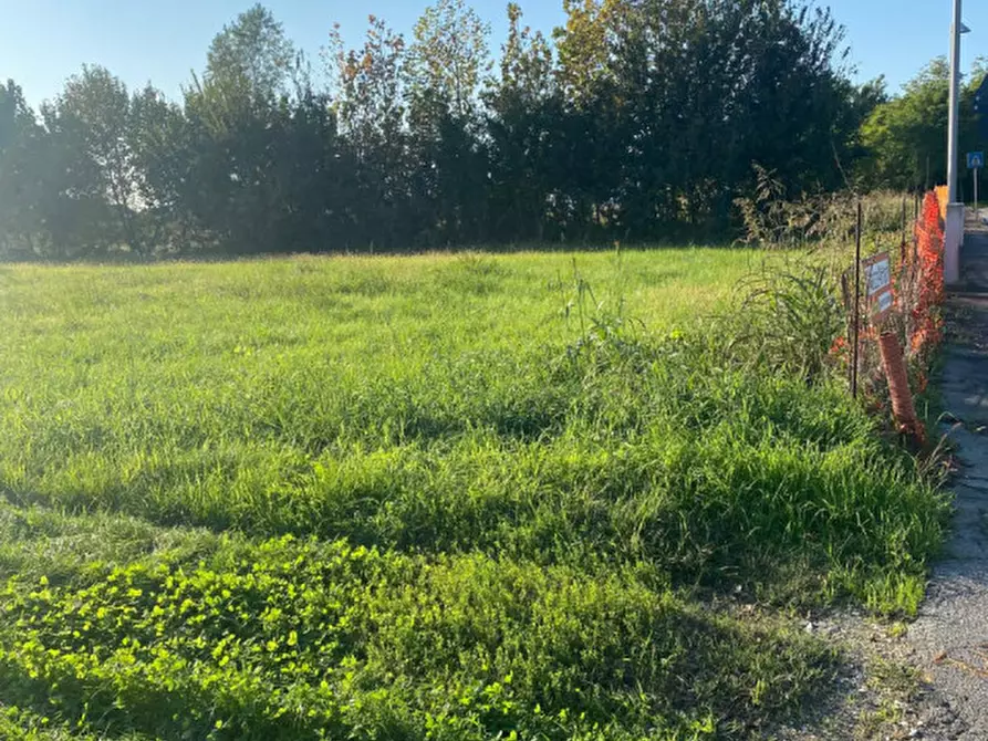 Immagine 6 di Terreno in vendita  in Via S. Tommaso a Piove Di Sacco