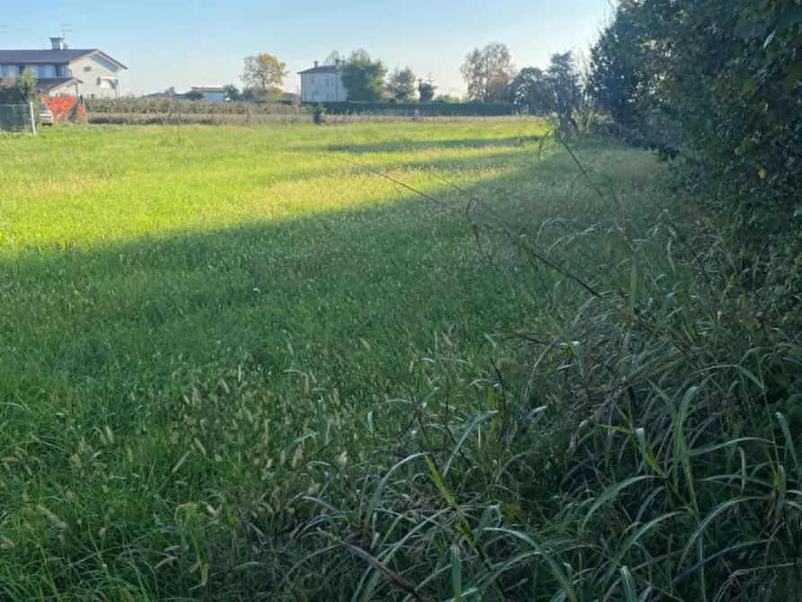 Immagine 7 di Terreno in vendita  in Via S. Tommaso a Piove Di Sacco