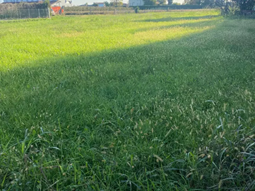 Immagine 9 di Terreno in vendita  in Via S. Tommaso a Piove Di Sacco