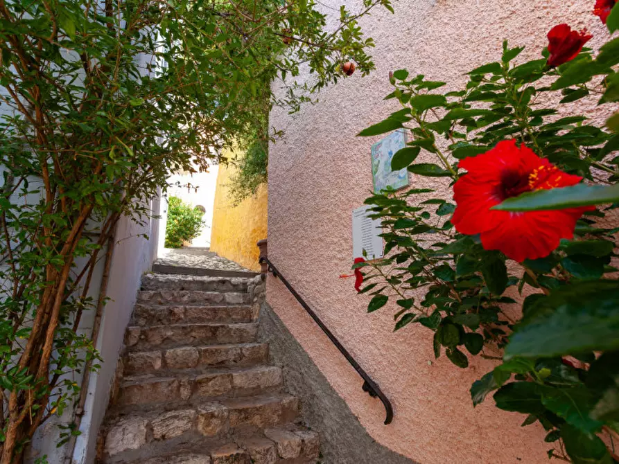Immagine 50 di Villa in vendita  in Via Amsicora a Posada