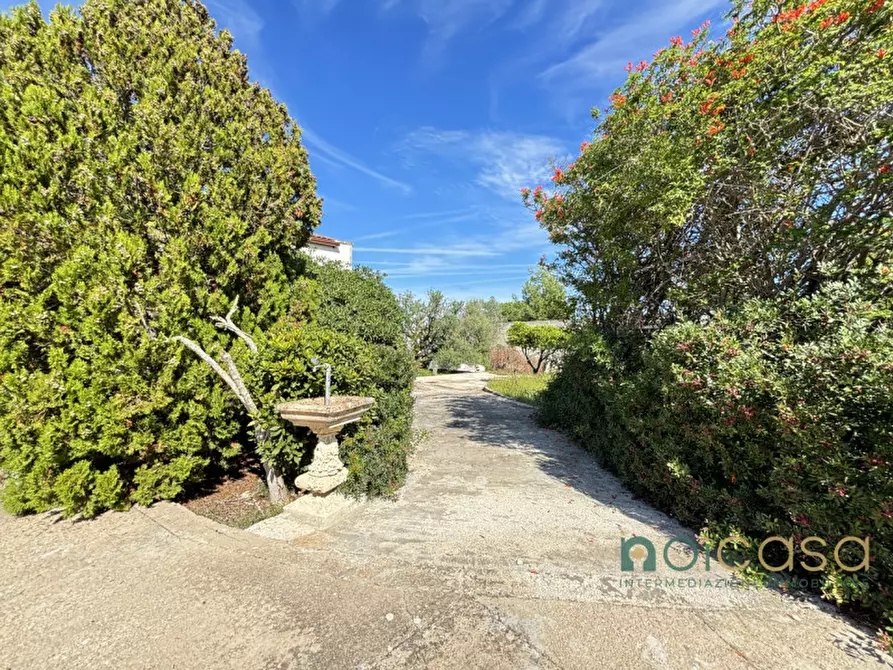 Immagine 5 di Villa in vendita  in via delle betulle 2 a Lecce