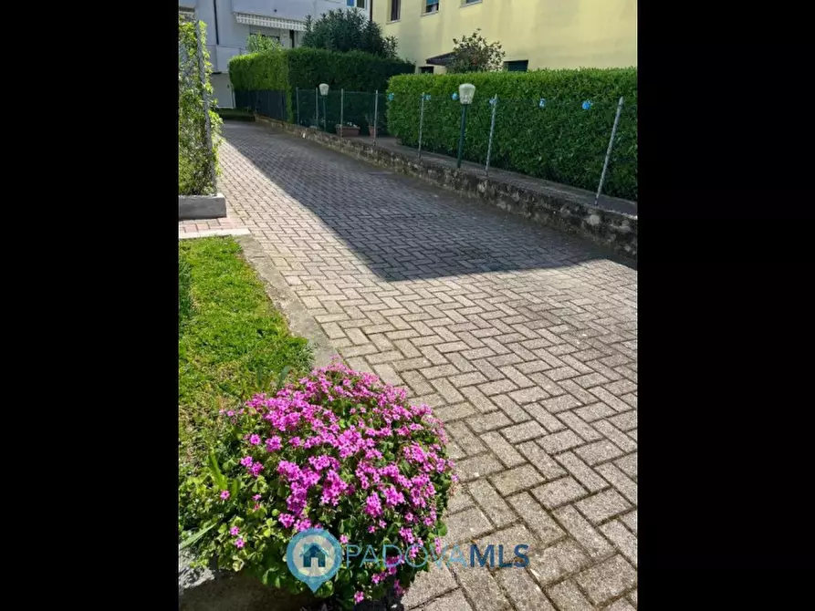 Immagine 5 di Appartamento in vendita  in Via Amerigo Vespucci a Monselice