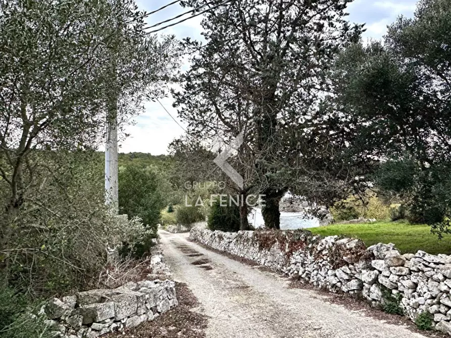 Immagine 3 di Rustico / casale in vendita  in Strada Paretone Zona I,88 a Martina Franca