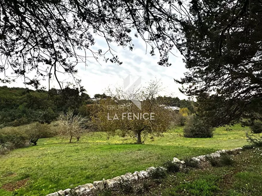 Immagine 5 di Rustico / casale in vendita  in Strada Paretone Zona I,88 a Martina Franca