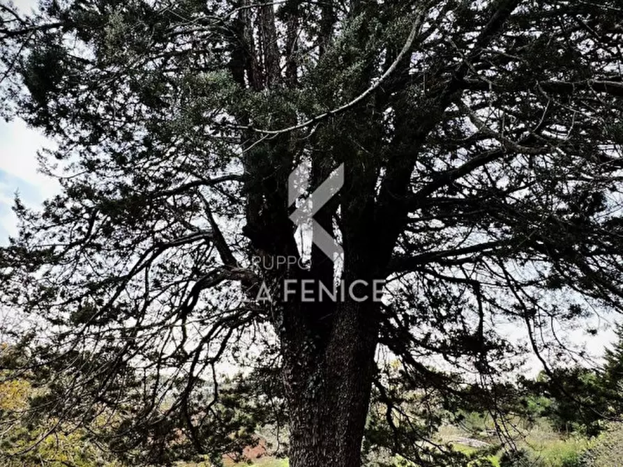 Immagine 7 di Rustico / casale in vendita  in Strada Paretone Zona I,88 a Martina Franca