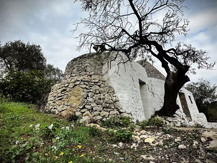 Immagine 9 di Rustico / casale in vendita  in Strada Paretone Zona I,88 a Martina Franca