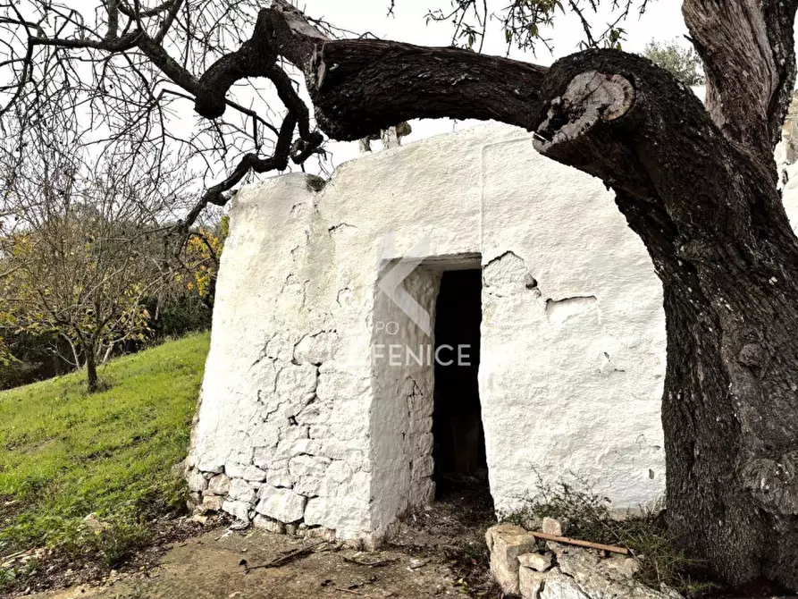 Immagine 23 di Rustico / casale in vendita  in Strada Paretone Zona I,88 a Martina Franca