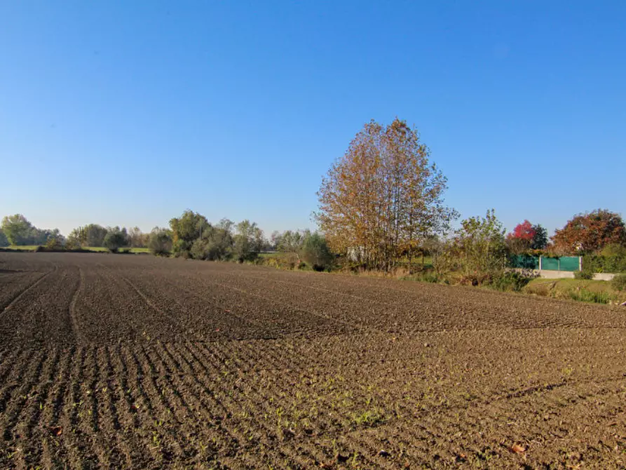 Immagine 1 di Terreno in vendita  a Codevigo