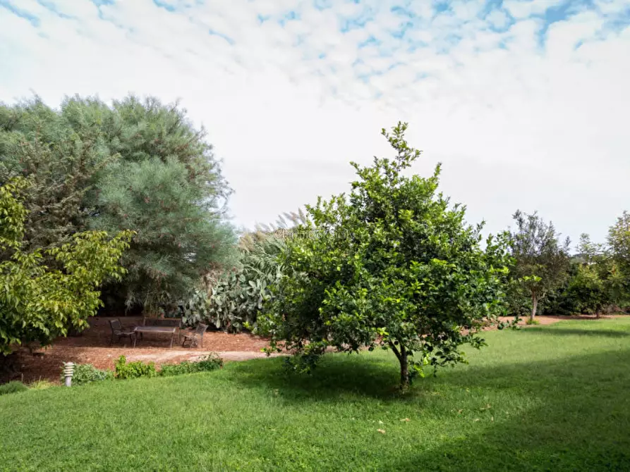 Immagine 28 di Villa in vendita  a Ragusa
