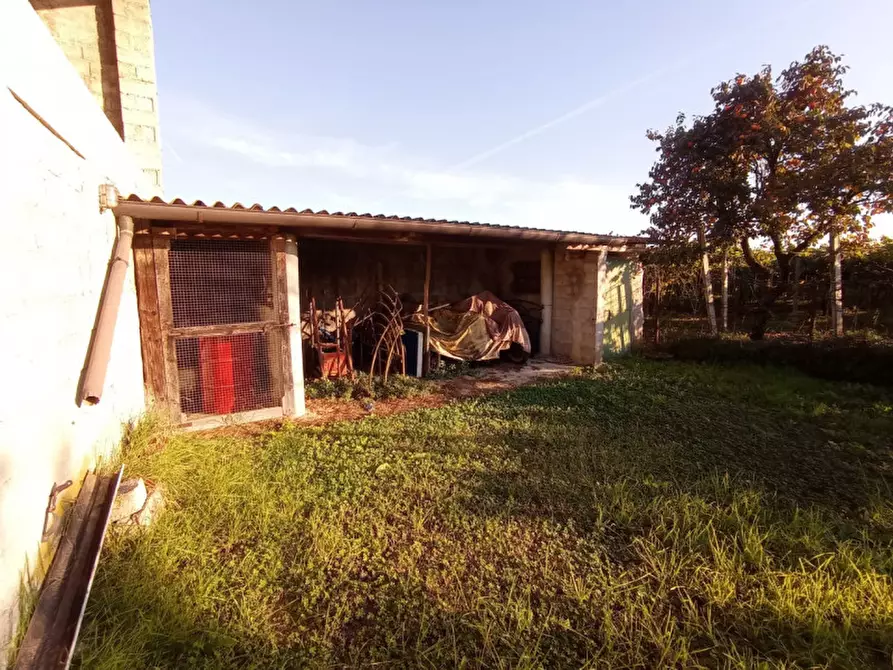 Immagine 7 di Magazzino in vendita  in Via Valbona a Soave