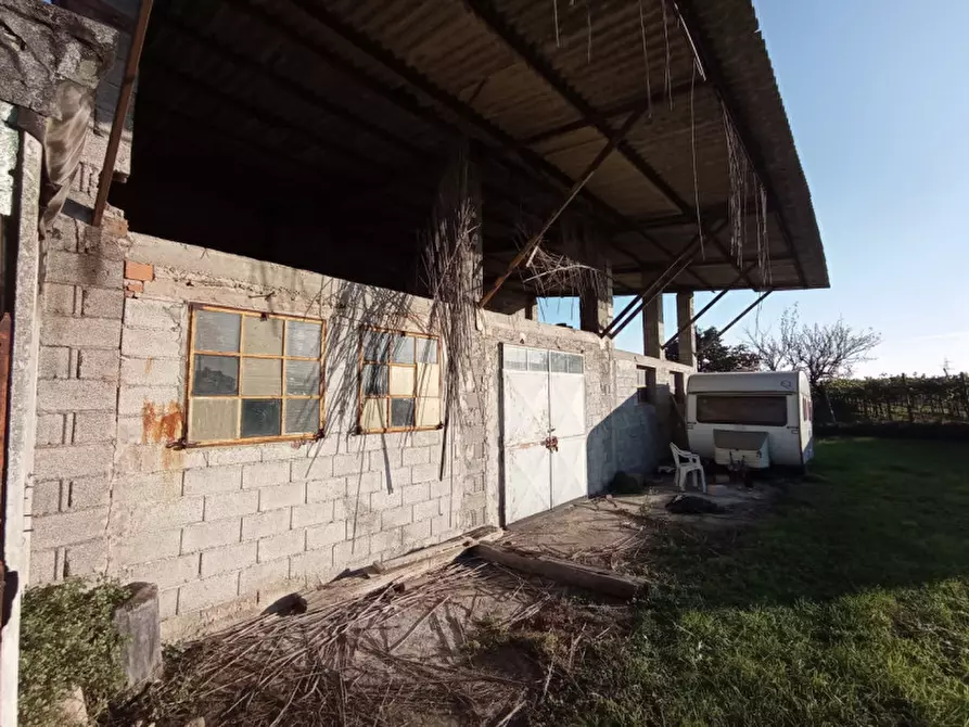 Immagine 11 di Magazzino in vendita  in Via Valbona a Soave