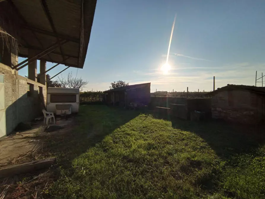 Immagine 12 di Magazzino in vendita  in Via Valbona a Soave