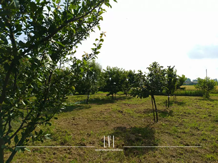 Immagine 17 di Casa indipendente in vendita  in Via Piave Nuovo 47 a Jesolo