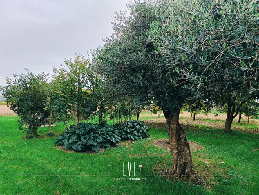 Immagine 21 di Casa indipendente in vendita  in Via Piave Nuovo 47 a Jesolo