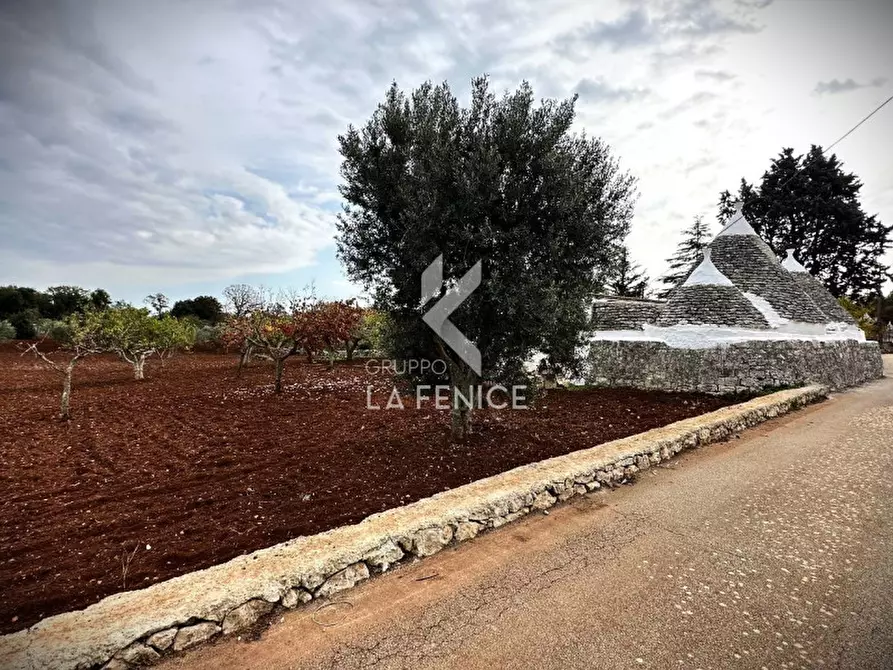 Immagine 2 di Rustico / casale in vendita  in strada votano a Martina Franca