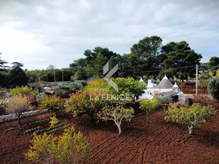 Immagine 19 di Rustico / casale in vendita  in strada votano a Martina Franca