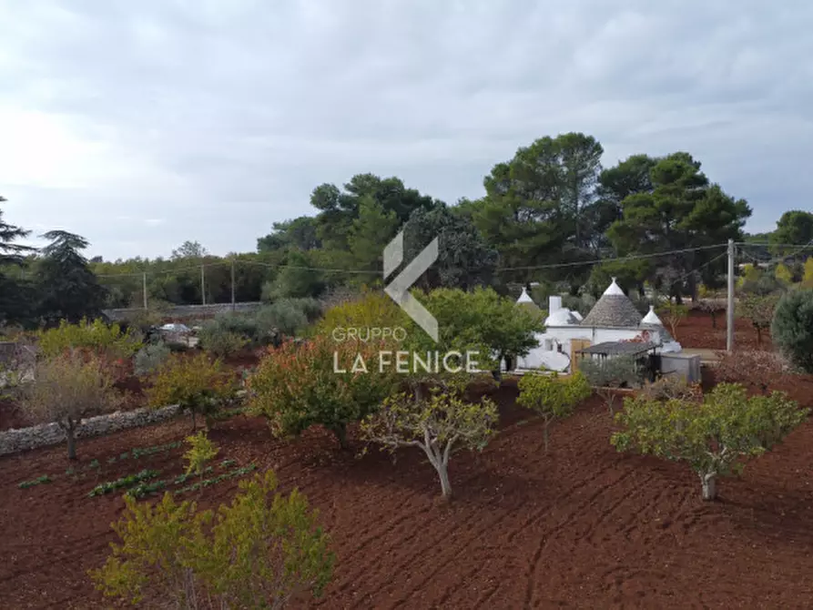 Immagine 23 di Rustico / casale in vendita  in strada votano a Martina Franca