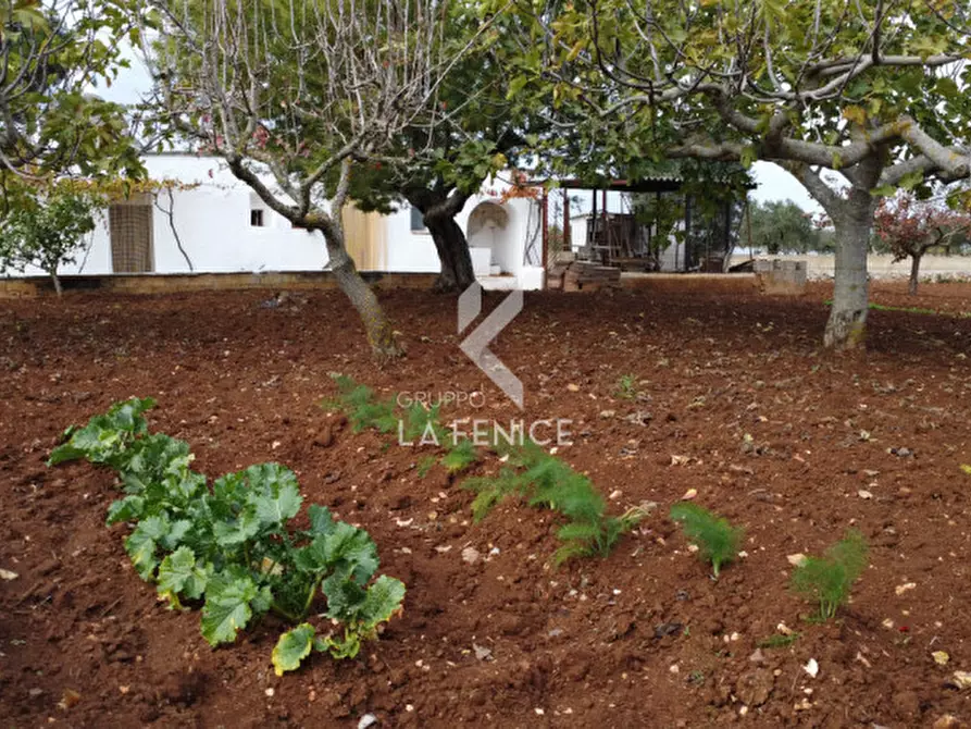 Immagine 24 di Rustico / casale in vendita  in strada votano a Martina Franca