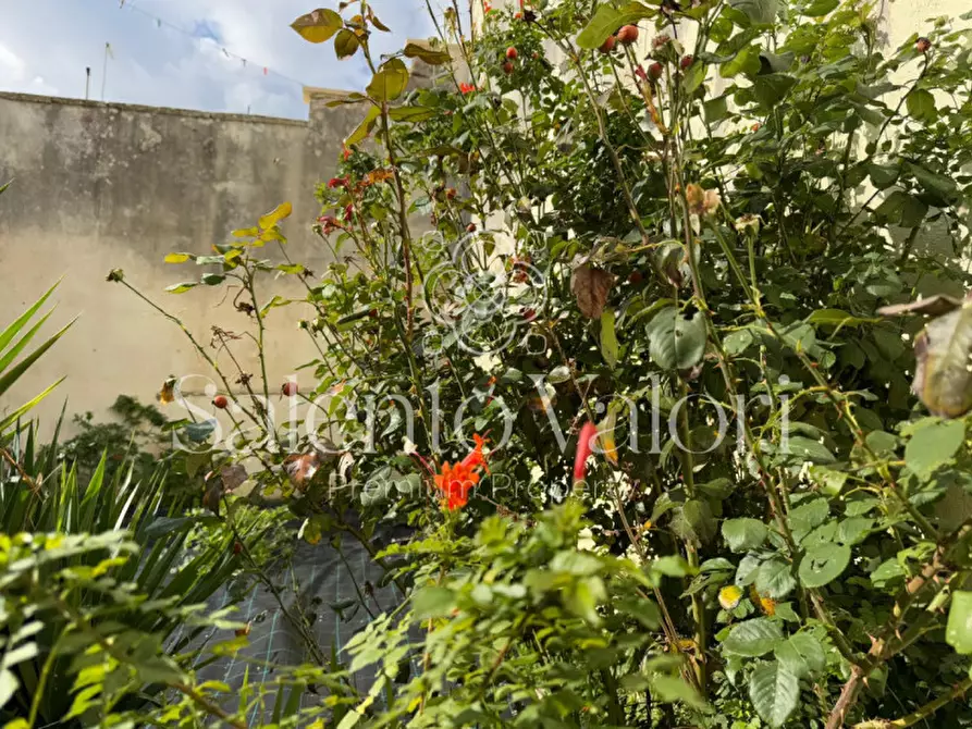 Immagine 23 di Casa indipendente in vendita  in Via Nino Bixio 31 a Collepasso