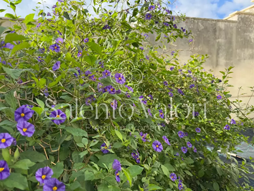 Immagine 26 di Casa indipendente in vendita  in Via Nino Bixio 31 a Collepasso