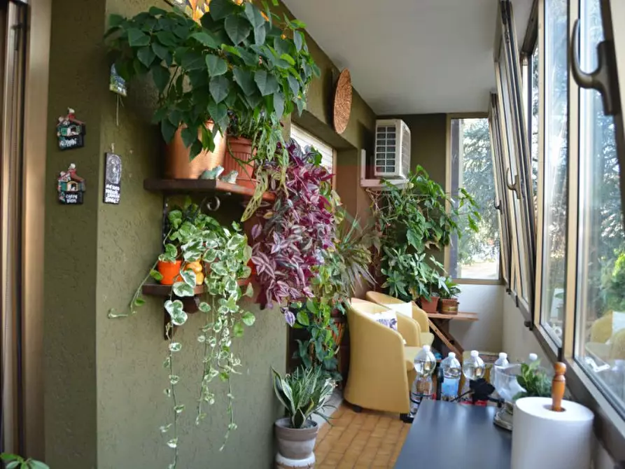 Immagine 12 di Appartamento in vendita  in Via Monsignore de Live a Bagnaria Arsa