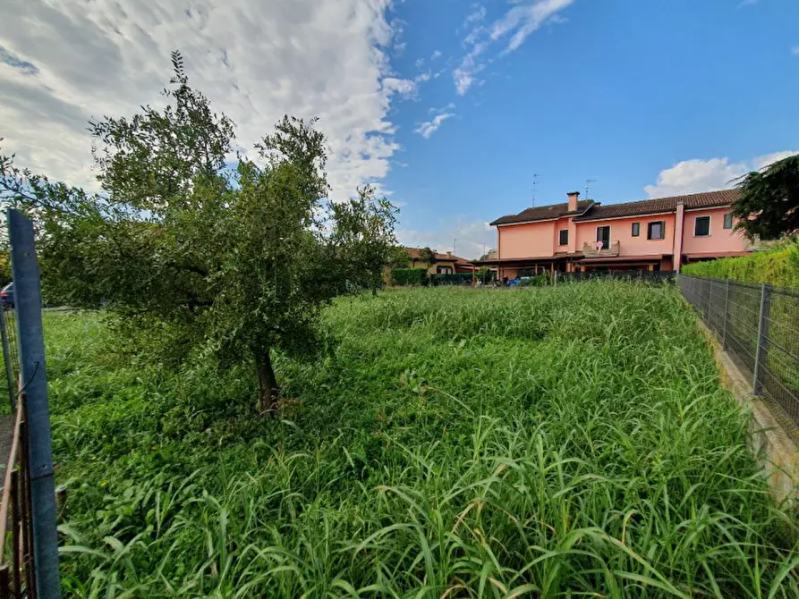 Immagine 6 di Terreno in vendita  in Via Tabacchificio a Anguillara Veneta