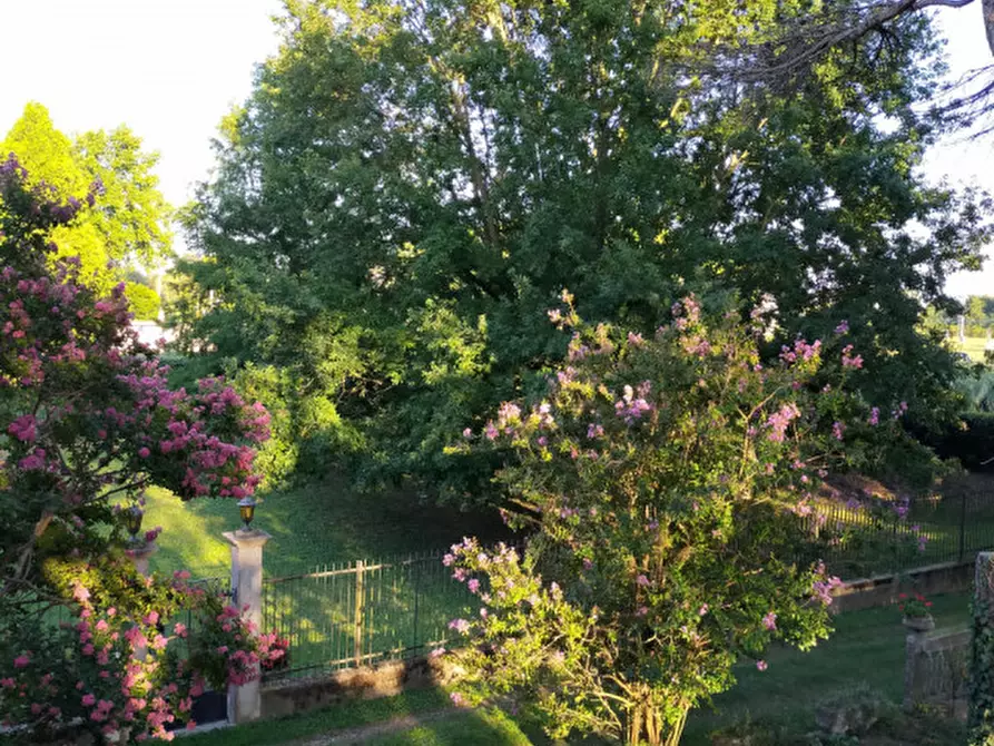 Immagine 2 di Terreno in vendita  a Correzzola