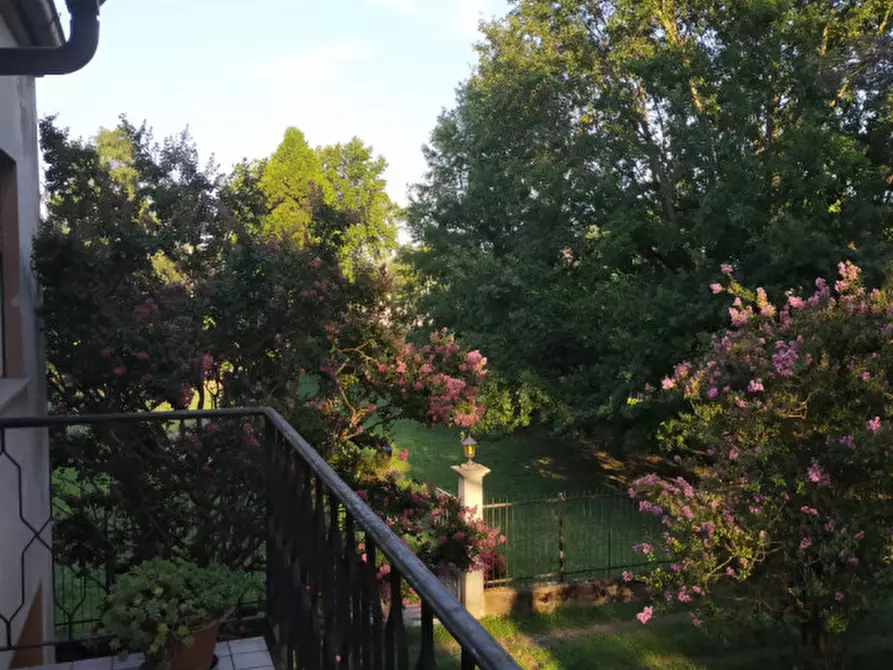 Immagine 3 di Terreno in vendita  a Correzzola