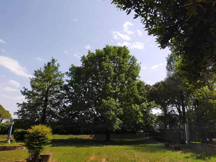 Immagine 4 di Terreno in vendita  a Correzzola