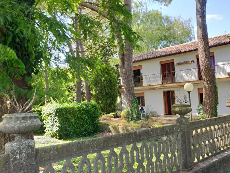 Immagine 5 di Terreno in vendita  a Correzzola