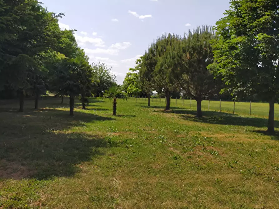 Immagine 7 di Terreno in vendita  a Correzzola