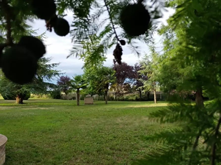 Immagine 8 di Terreno in vendita  a Correzzola