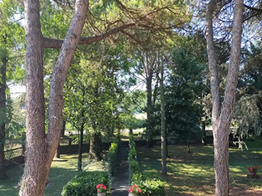 Immagine 9 di Terreno in vendita  a Correzzola