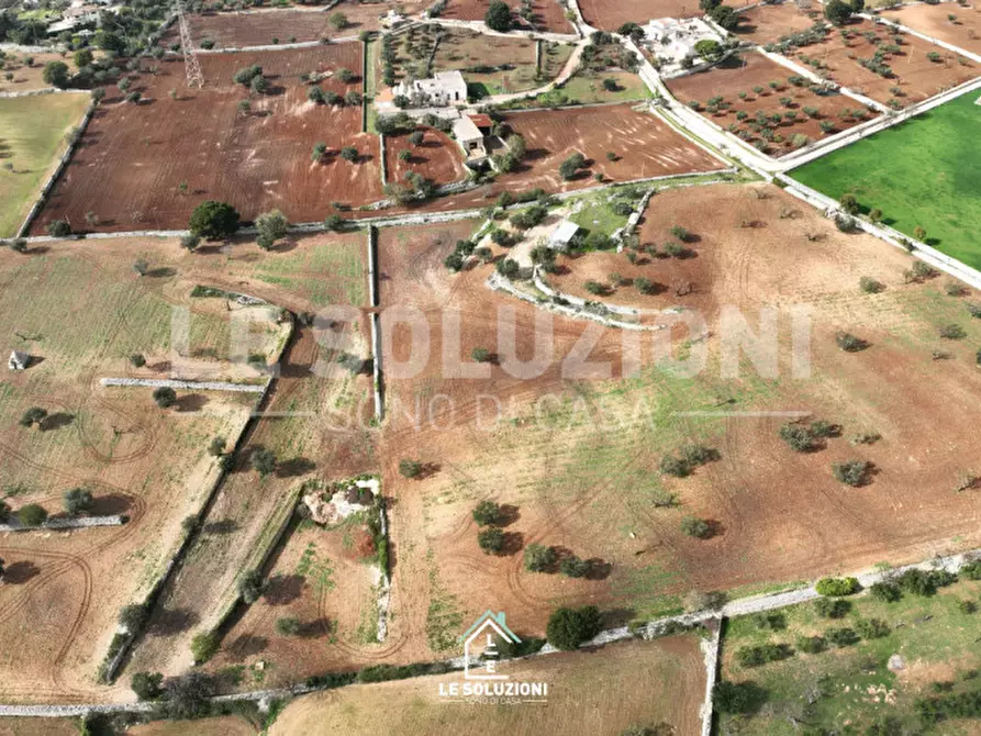 Immagine 6 di Terreno in vendita  in strada comunale foggia di ghezza a Castellana Grotte