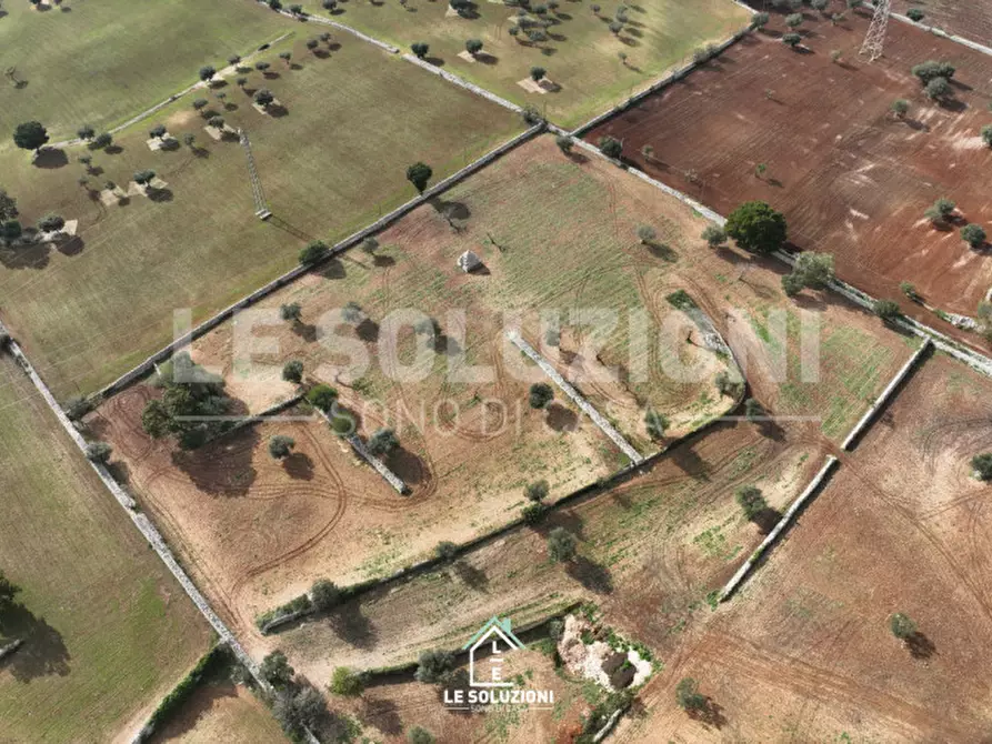 Immagine 7 di Terreno in vendita  in strada comunale foggia di ghezza a Castellana Grotte