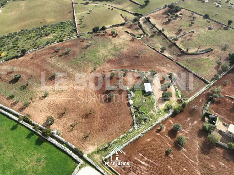 Immagine 9 di Terreno in vendita  in strada comunale foggia di ghezza a Castellana Grotte