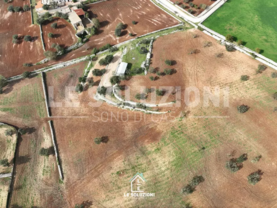 Immagine 10 di Terreno in vendita  in strada comunale foggia di ghezza a Castellana Grotte