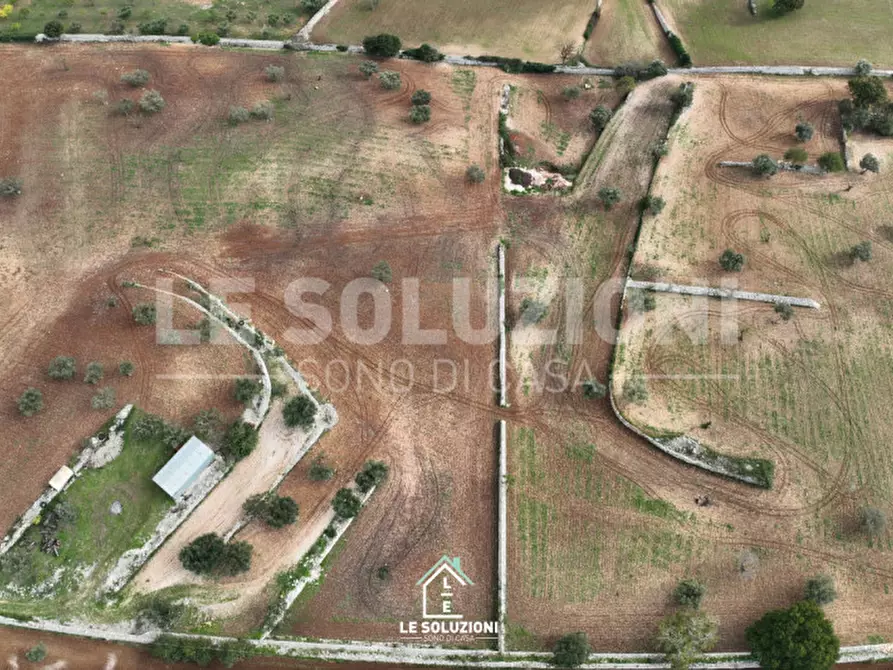Immagine 11 di Terreno in vendita  in strada comunale foggia di ghezza a Castellana Grotte