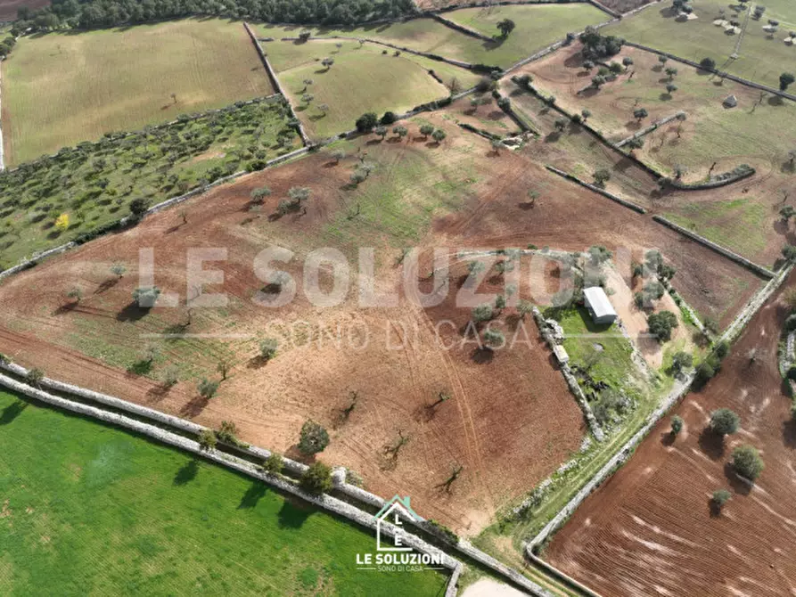 Immagine 12 di Terreno in vendita  in strada comunale foggia di ghezza a Castellana Grotte