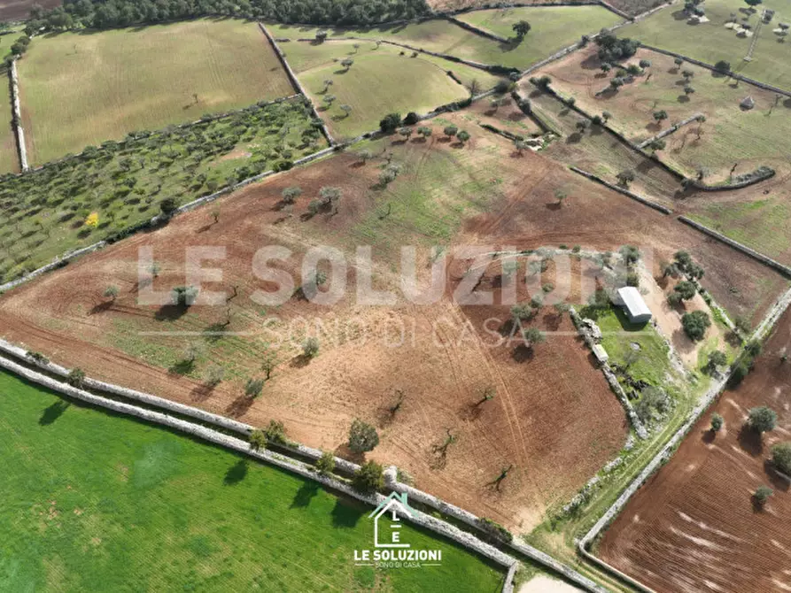 Immagine 13 di Terreno in vendita  in strada comunale foggia di ghezza a Castellana Grotte