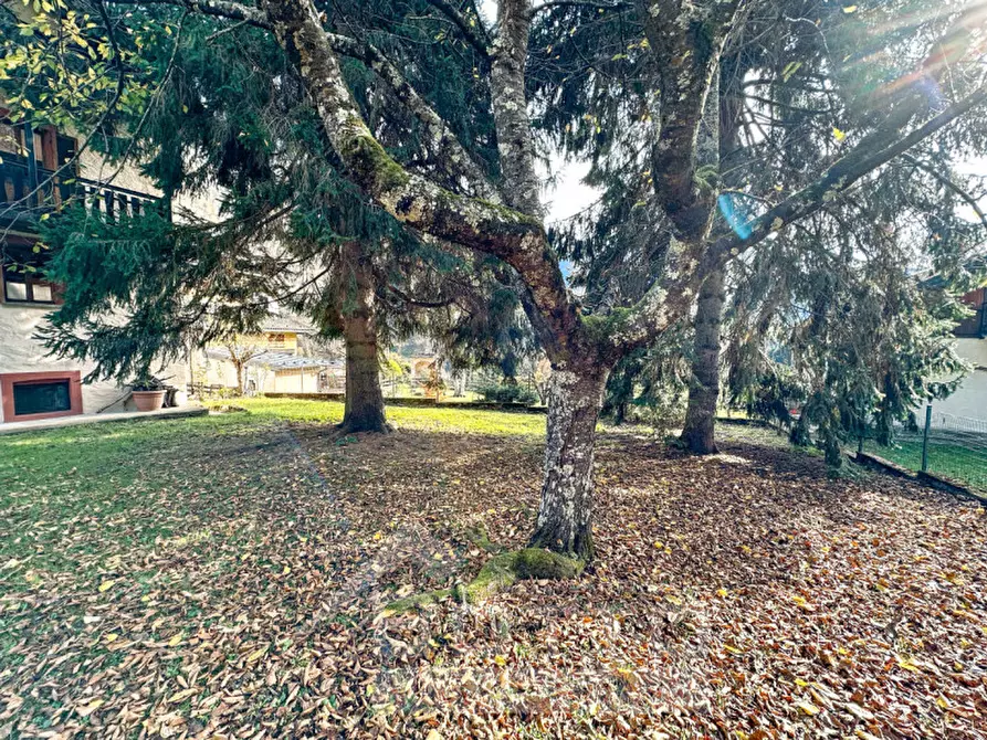 Immagine 23 di Casa indipendente in vendita  in frazione Carata via Artogna a Campertogno