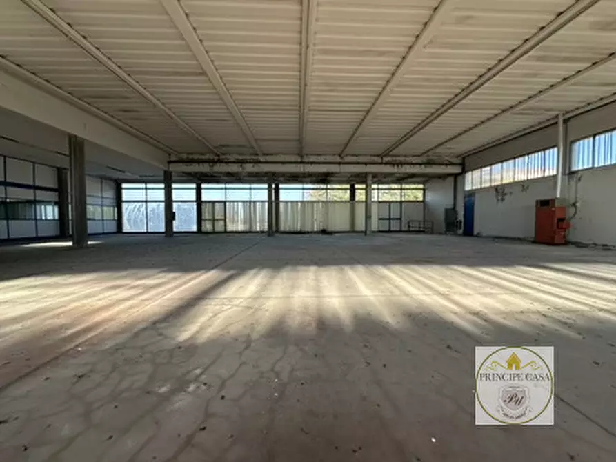 Immagine 10 di Capannone industriale in vendita  in STRADA REGIONALE 10 a Ospedaletto Euganeo