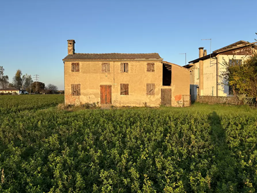 Immagine 3 di Casa indipendente in vendita  in via leva' 136 a Conselve