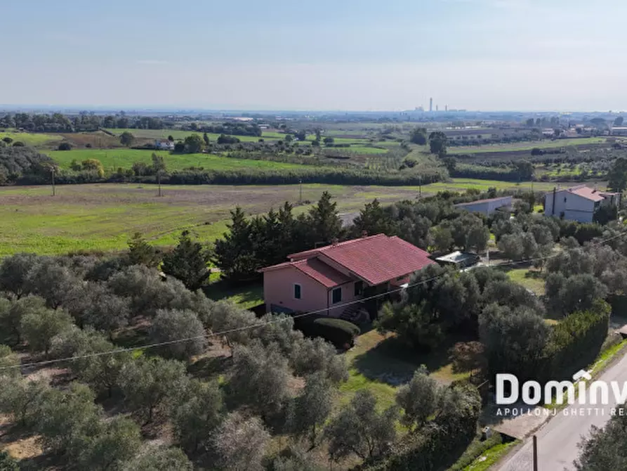 Immagine 8 di Villa in vendita  in Strada dell'Abbadia a Capalbio