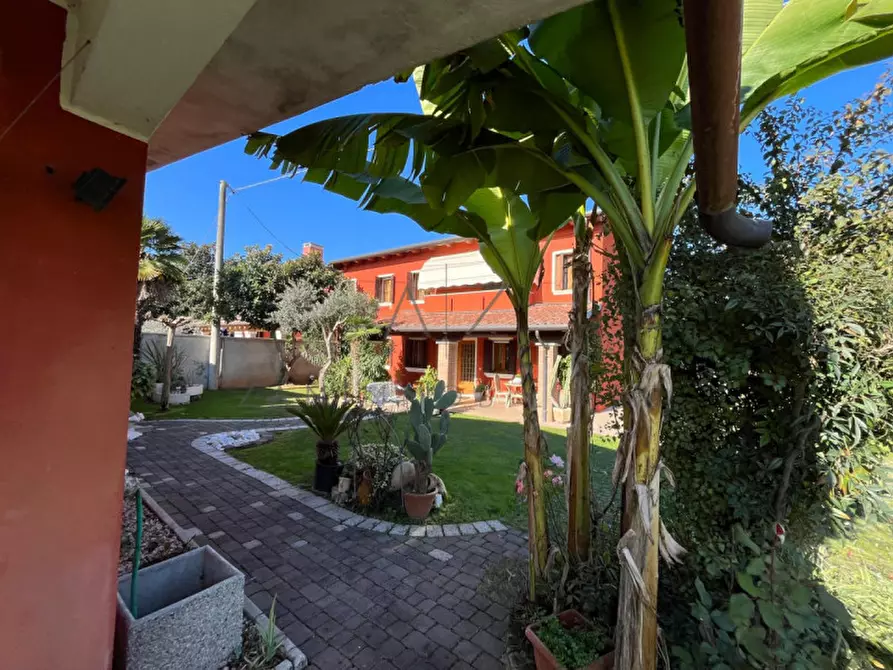 Immagine 4 di Casa bifamiliare in vendita  in Via Castellana a Castelfranco Veneto