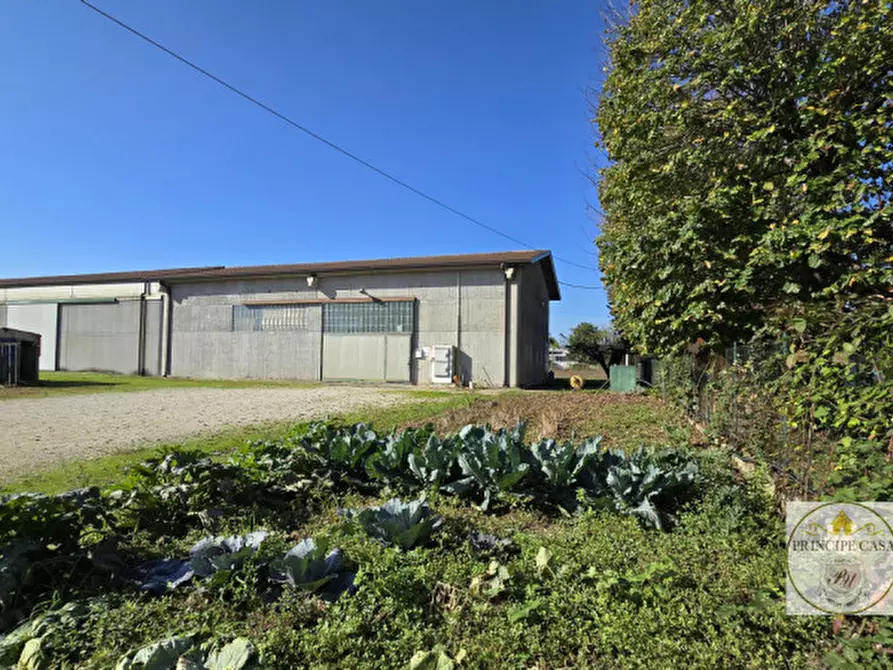 Immagine 35 di Casa indipendente in vendita  in via Gabelle a Casale Di Scodosia