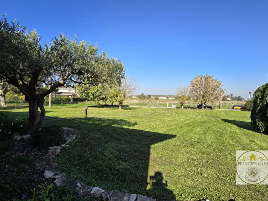 Immagine 40 di Casa indipendente in vendita  in via Gabelle a Casale Di Scodosia