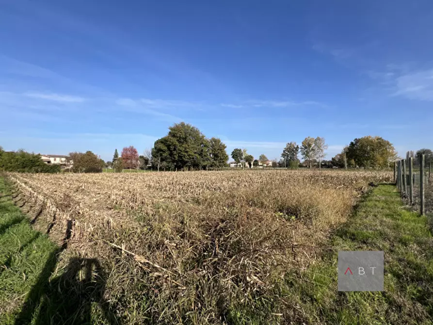 Immagine 3 di Terreno in vendita  a Camposampiero