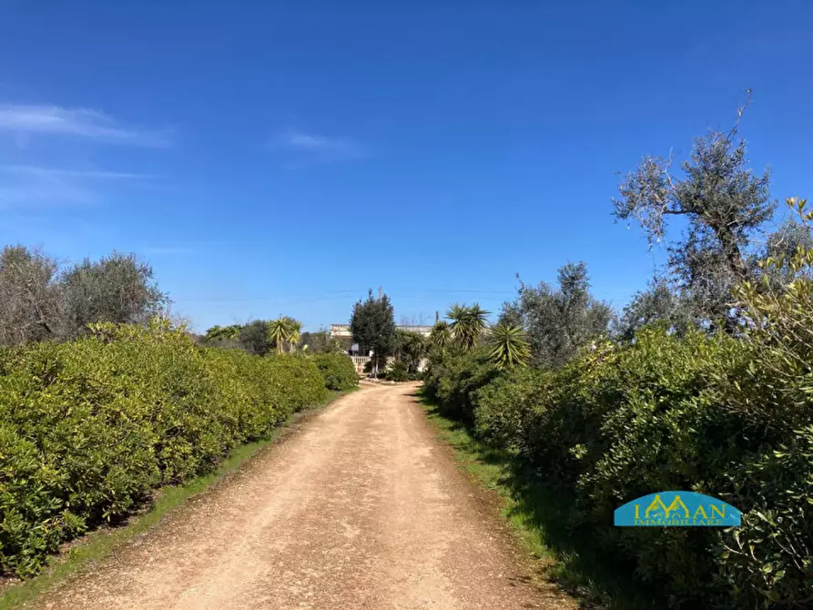 Immagine 19 di Rustico / casale in vendita  in Contrada Don Giulio a Francavilla Fontana